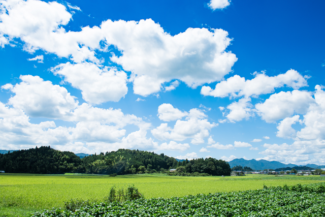 田舎暮らしのすすめ | 太宏株式会社